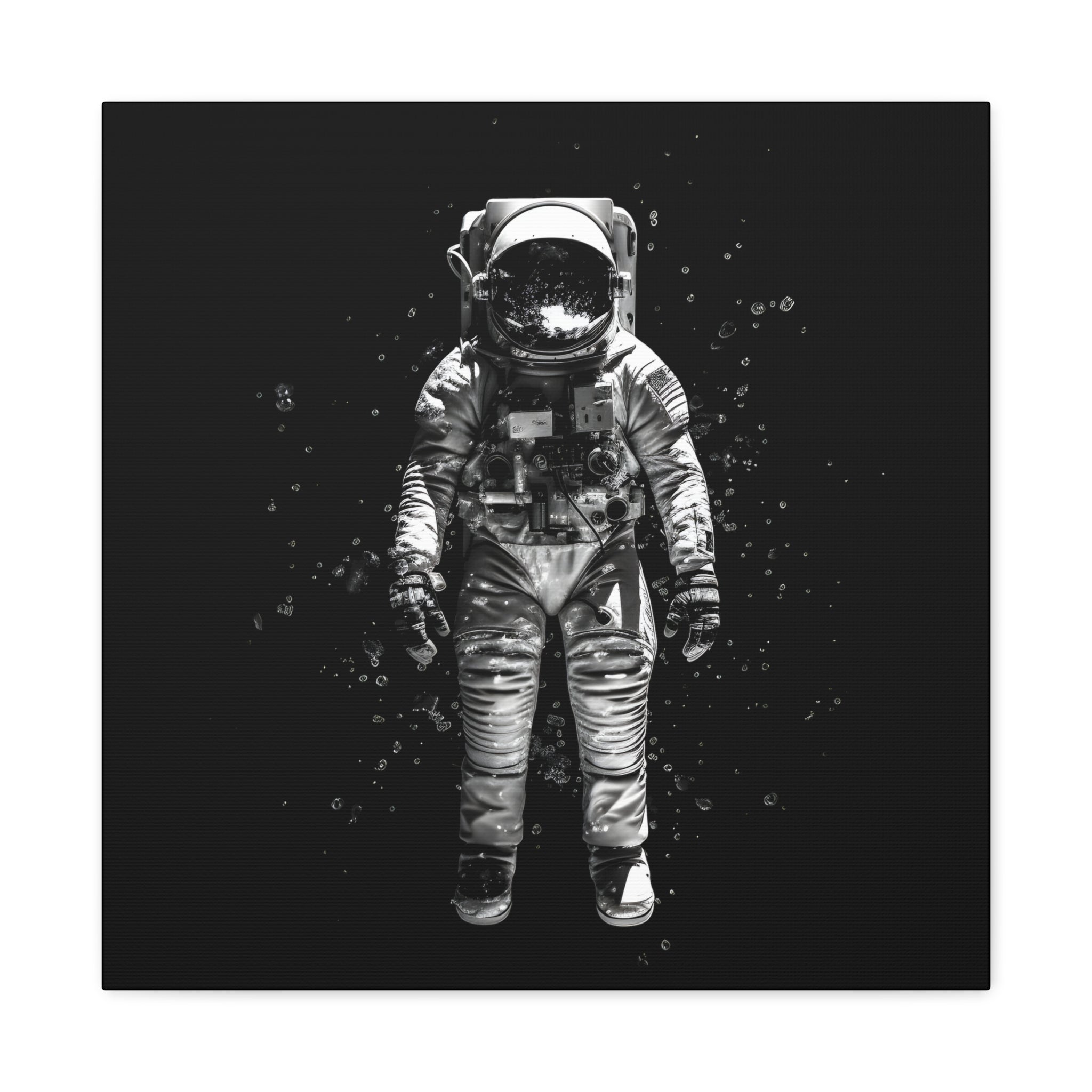 Astronaut Aesthetics Canvas Print Art