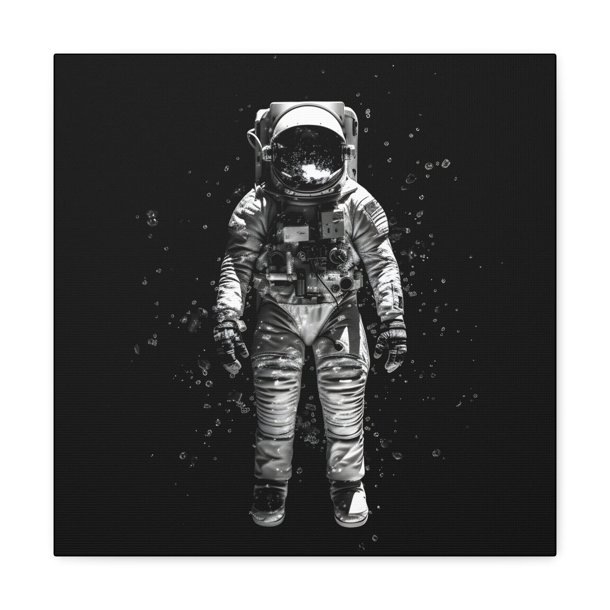 Astronaut Aesthetics Canvas Print Art