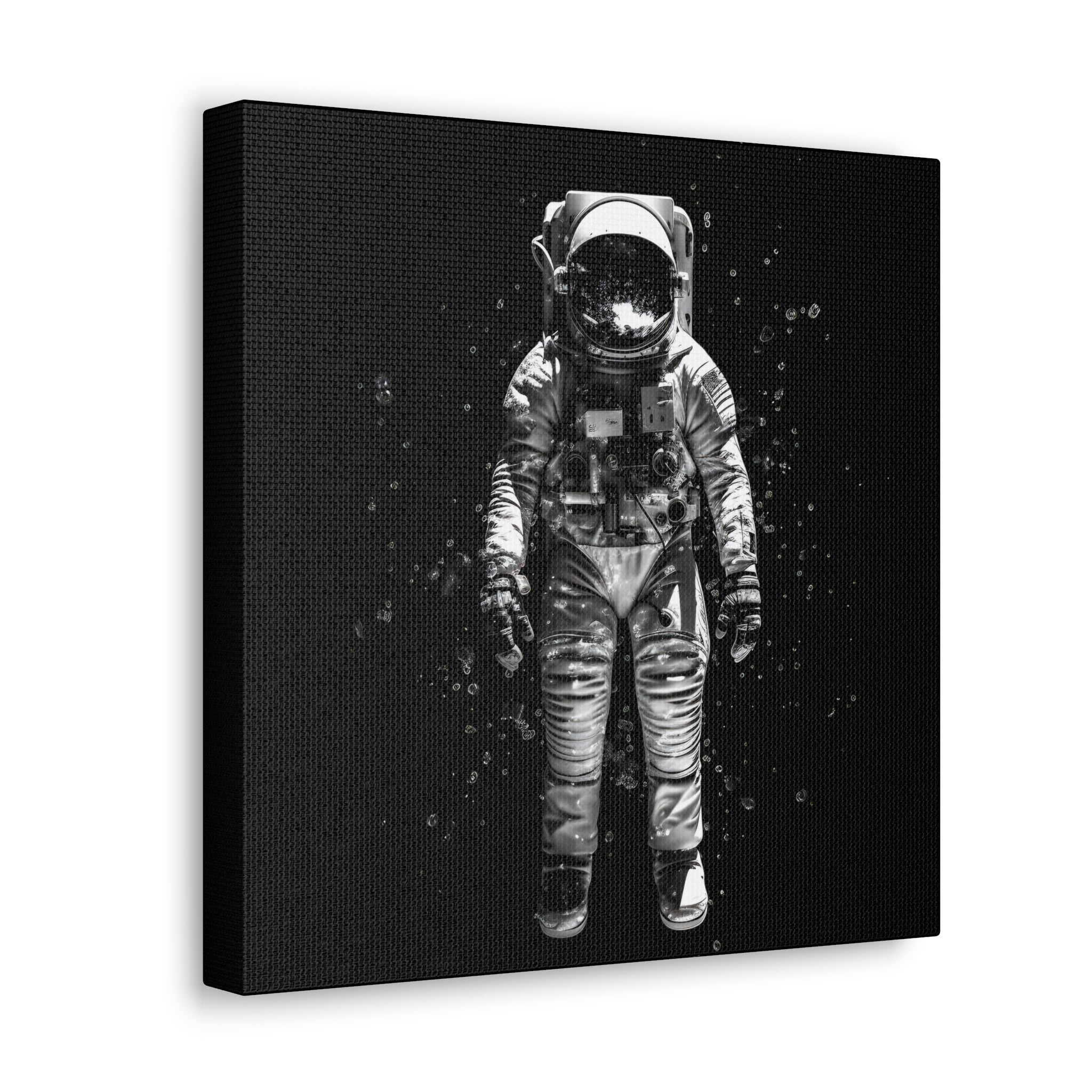 Astronaut Aesthetics Canvas Print Art