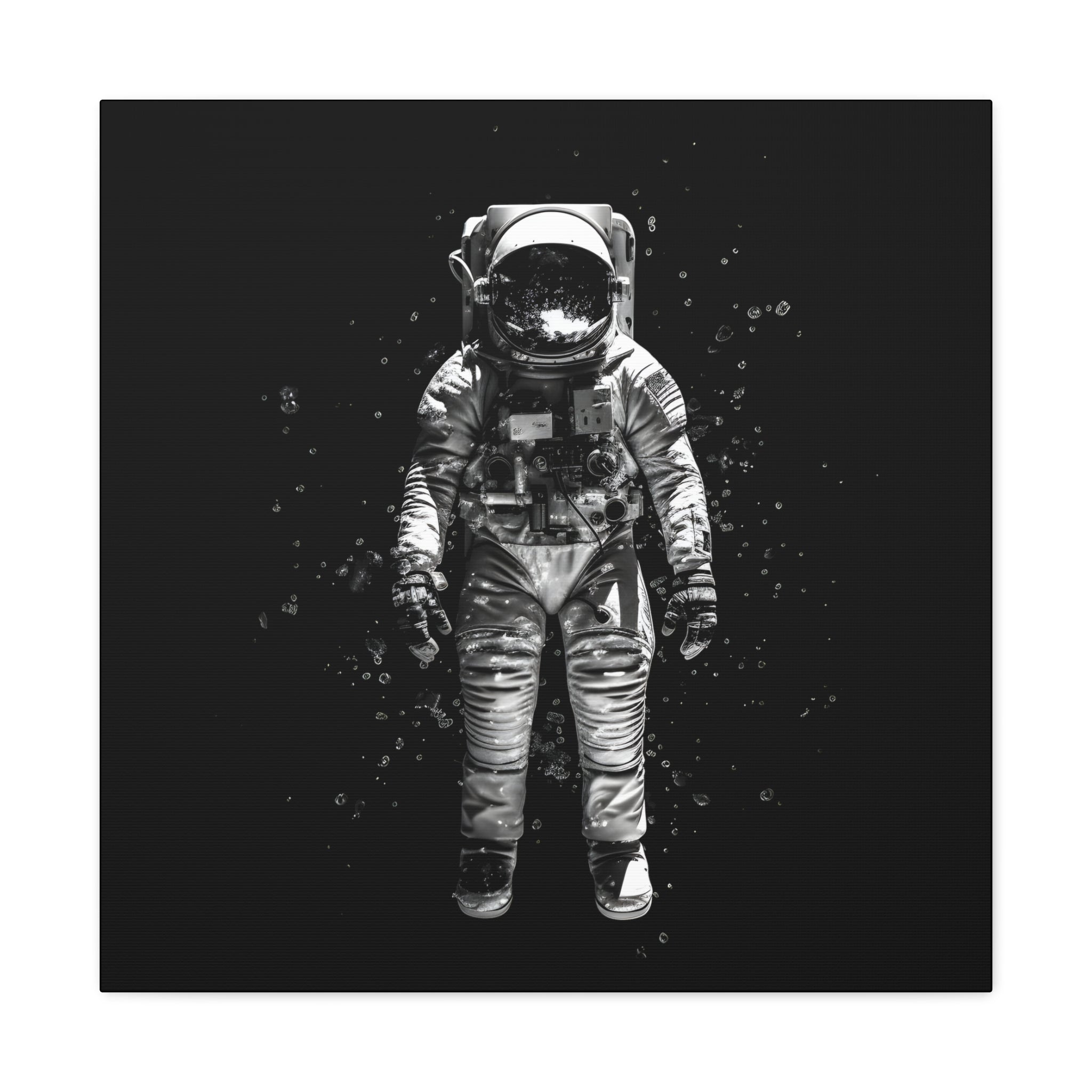 Astronaut Aesthetics Canvas Print Art