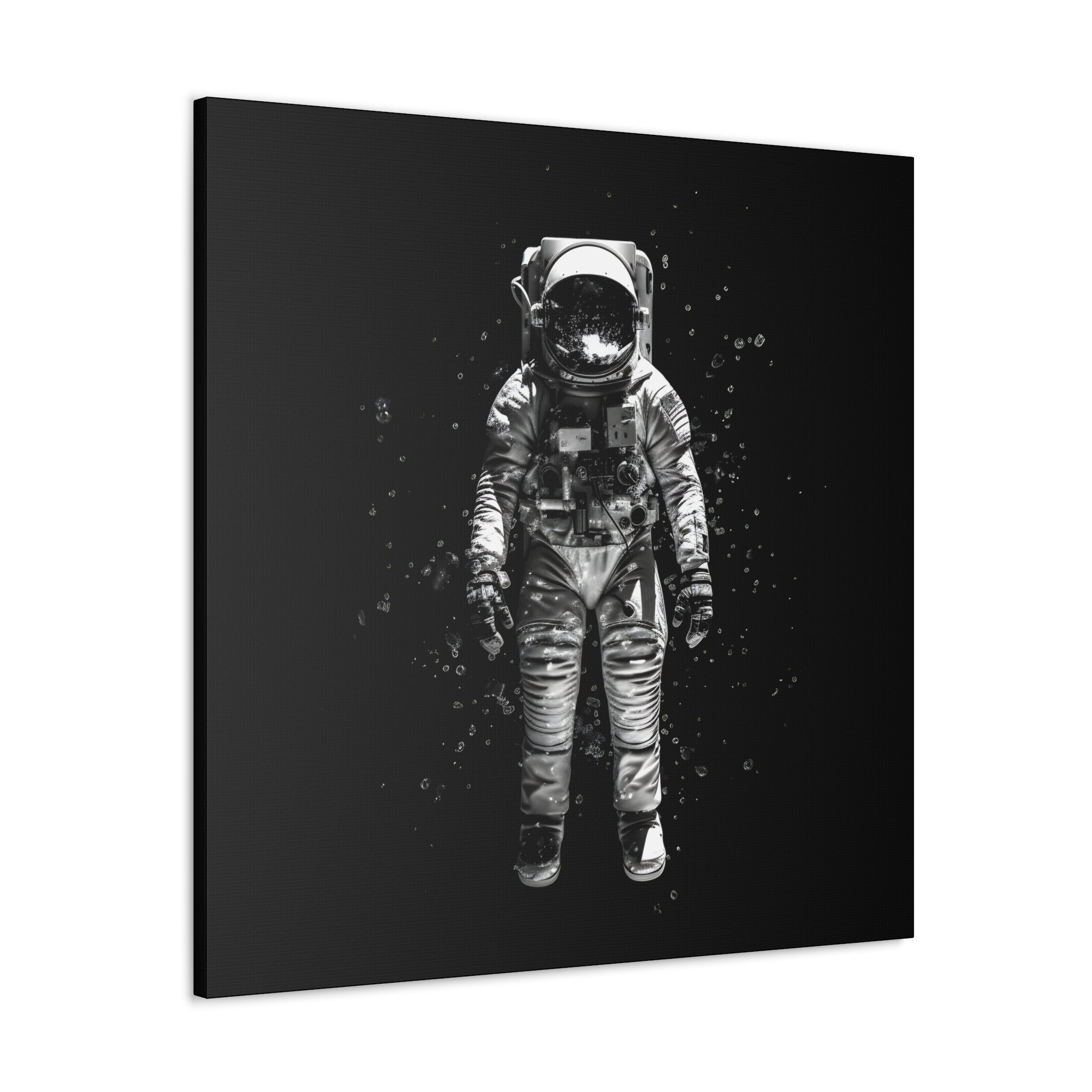 Astronaut Aesthetics Canvas Print Art